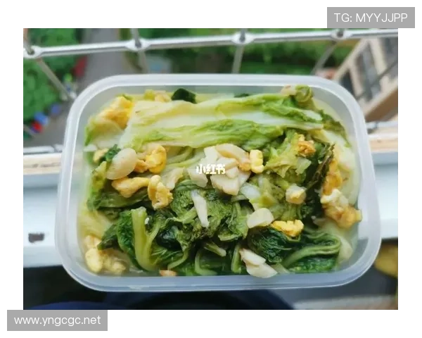 勒布朗家的冰箱里塞满蛋白粉，连冰块都是鸡胸肉味的