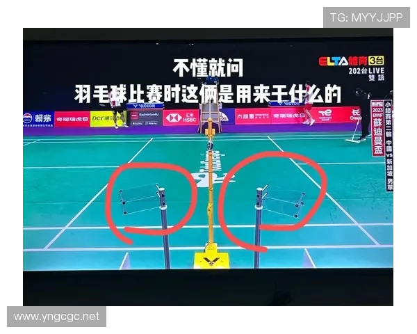 发球干扰规则解析：什么行为算违例及判罚标准